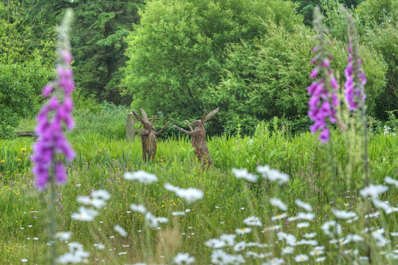 Orroland Holiday Cottages Dundrennan Eksteriør billede