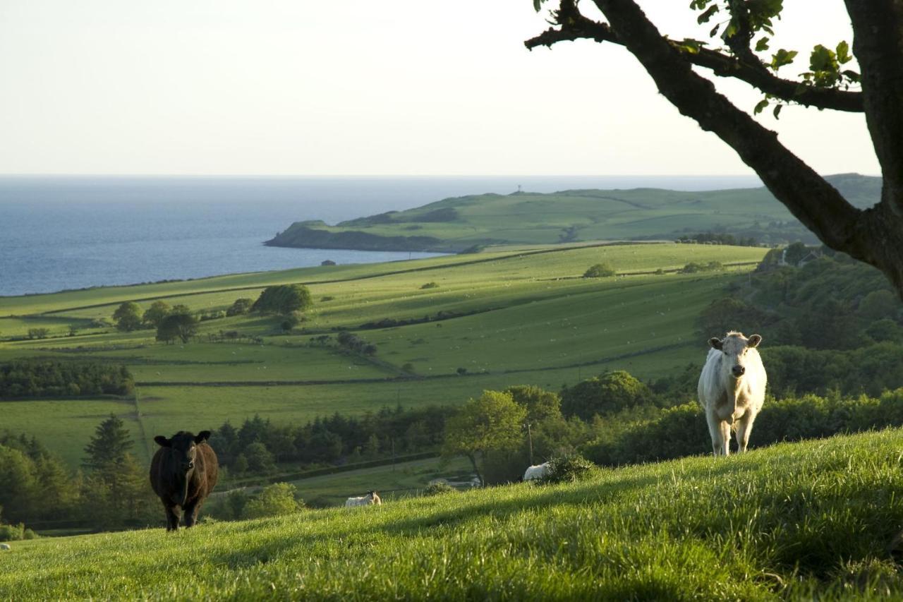 Orroland Holiday Cottages Dundrennan Eksteriør billede